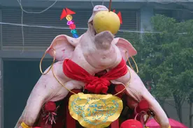 温州人眼中的财神爷，万人给他过生日，祈求事业有成图片