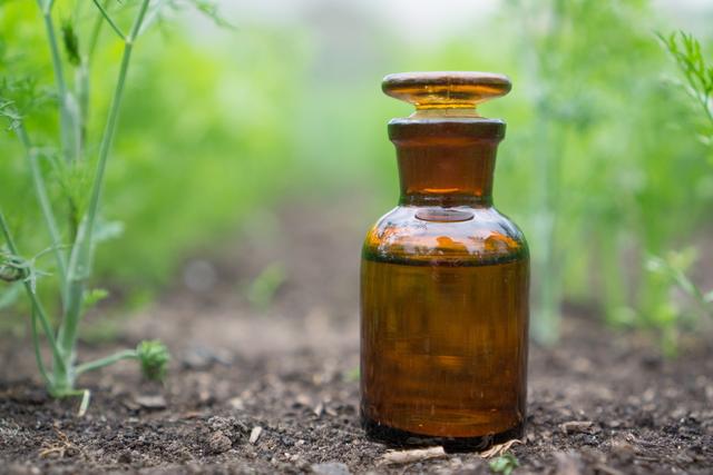 为什么都说水溶肥好？详解水溶肥优势，化肥或将淘汰