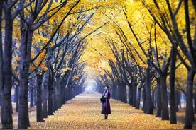 心被伤透了，那就转身离开，我们都很优秀，我们都值得更好的人图片