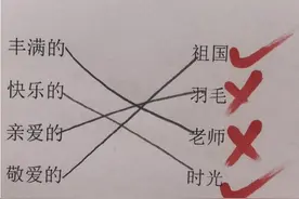 小学生“投机取巧”的试卷火了，老师被批乱打分：孩子错哪了？图片