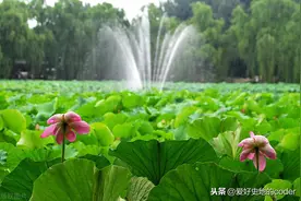 实战PyQt5: 121-使用QImage实现一个看图应用图片