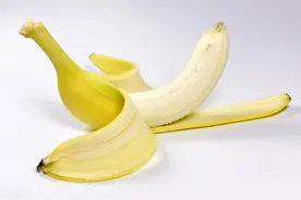 导致丁丁站不起来的病因有哪些？图片