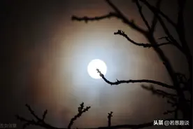 镇雄丧葬文化中的“孝歌”和“散花”图片