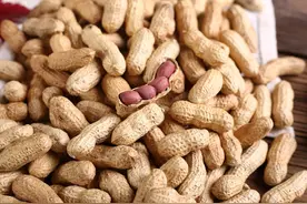 麦垄套种花生增产栽培技术，掌握田间管理方法，保障花生的产量图片