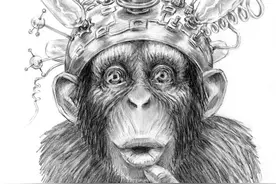 为何男性的身高普遍高于女性？图片