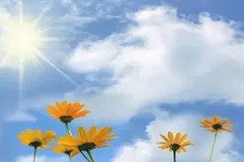 我们常常给孩子唱安眠曲，好让我们自己可以入睡图片