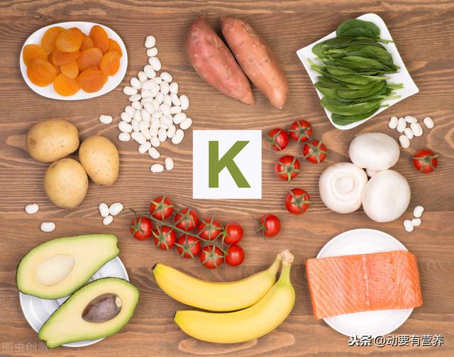 科普文运动与各类营养