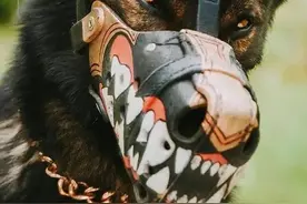 穿警服的大魔头：马犬，从小喽啰到C位的逆袭图片