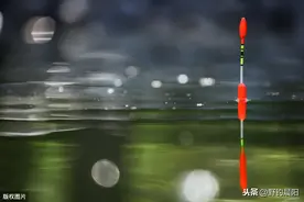 野外钓鱼明明有鱼咬钩却钓不上来，五种情况帮你分析问题出在哪里图片