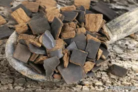 每日一药——杜仲图片