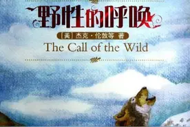 《野性的呼唤》|从南到北，家犬到狼王的逆袭之路：敢，万丈光芒图片