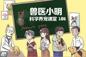 买宠物用品太费钱，有没有什么平价替代呢？有些钱真的不能省图片