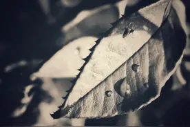 结婚5年不生小孩，姥姥忍不住问我：是不是身体有毛病？图片