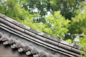 正定荣国府是一座具有明清风格的仿古建筑群，分府、街两大部分图片