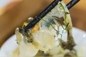 没有一条鱼能活着出顺德图片