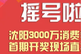 沈阳3000万元消费券，今天下午首次摇号开奖！没预约的快行动图片