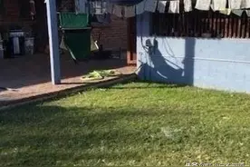 男子在后花园发现一秘密通道，挖开后眼前的场景让他兴 奋不 已图片