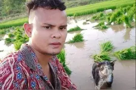 小哥竟带着猫咪下田插秧，还忙得不亦乐乎：你是奶牛猫不是牛啊图片