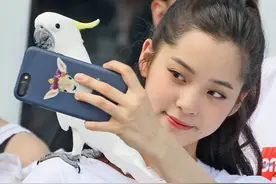 柯文哲谈欧阳娜娜争议：象征两岸关系越来越烂图片