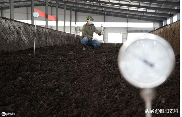 鈥滅⒊鑲モ€濆埌搴曟槸浠€涔堣偉锛屽浣滅墿鏈変粈涔堜綔鐢紝濡備綍浣跨敤