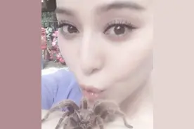 大胆女明星们的疯狂事：上天入地潜海底 抓蛇打洞开飞机图片