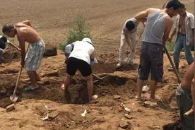 300人盗挖巨型墓地，盗洞多如地道，邻村的男女每天都去“上班”图片
