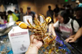 北京新发地市场、大连海鲜公司、大连海关查出进口海鲜病毒 疫情接连关联冷链海鲜 进口冷链物流行业如何应对图片