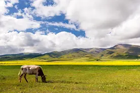 为什么一生一定要去一次西北大环线（一）图片