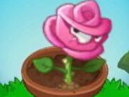 5月1日的植2花园战争更新啦