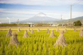 日本环境友好型农业发展经验——基于肥料使用量变化趋势分析图片