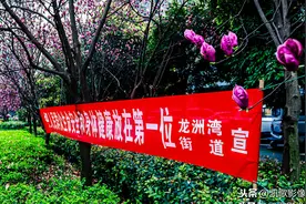 脱缰野马.激动不已.舒畅爽快.哪能表达得了今天复工的心情喔图片