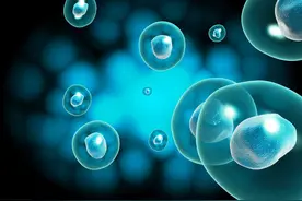 Science | 细胞分化过程中状态图谱与细胞命运图谱图片