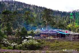 香格里拉碧沽天池图片