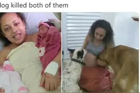 自家爱犬疑因失宠嫉妒咬死主人双胞胎女儿，如今主人不再信任狗图片