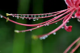 夜来一场秋雨，人生几度新凉图片