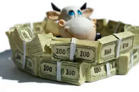 P2P网贷机构设资金池、混业经营和串通发标归结资金，涉非法集资图片
