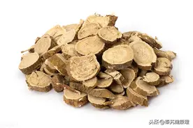 每日一药——苦参图片