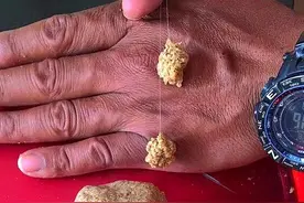自制“拉大球”饵料有捷径：巧用海藻粉，实现拉饵又大、又密实图片