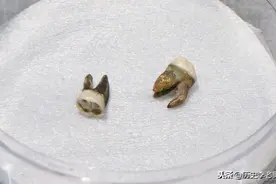 千古一帝隋炀帝墓地发掘现场：实在太寒酸了，遗骸仅剩下两颗牙齿图片