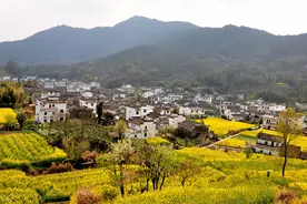 农村过去的“绝户头”，常被人看不起，现在却成了村民羡慕对象图片