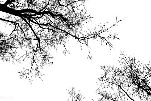 这种水果你吃过吗，绵软能用吸管嘬，其中良品晒干晾制后还有流心