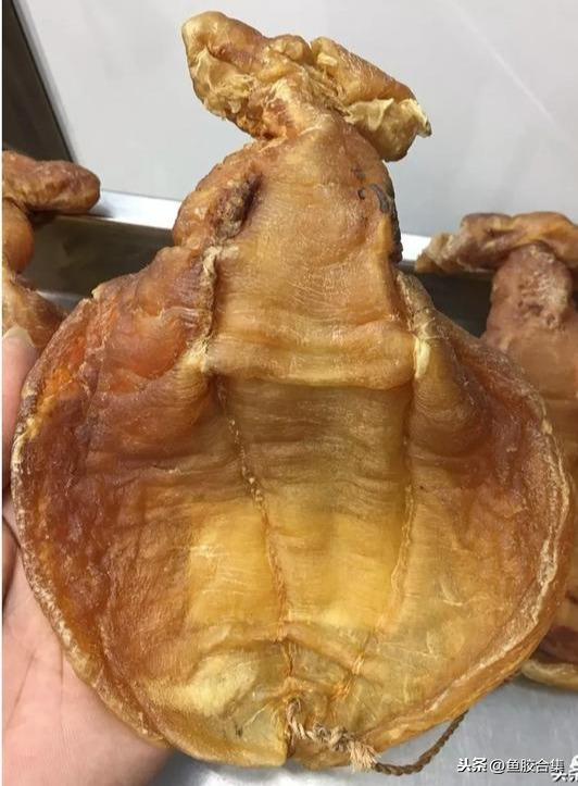 长长的是什么花胶 2026年细长的花胶