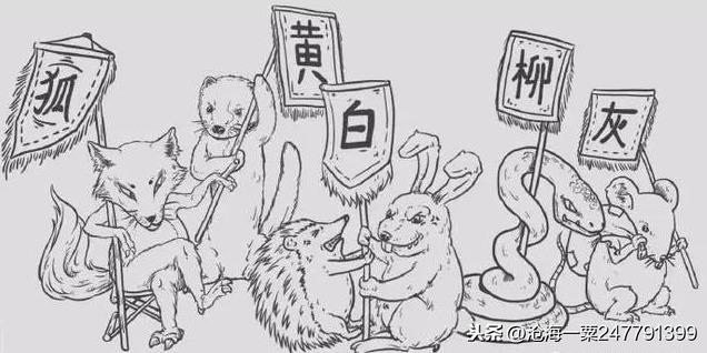 五仙家指的是什么（民间狐黄白柳灰五大仙简介）
