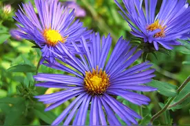 懂你的人，才会适合你图片