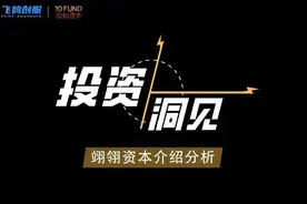翊翎资本：非典型 VC 的「出圈」图片
