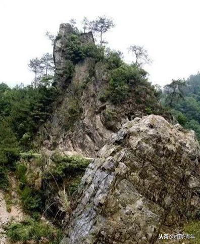 安化黑茶茯砖与其他茶叶有何不同