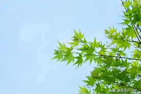 星座解读：许下承诺却无法兑现，总是夸夸其谈，不值得去交往图片