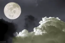 小诗 | 我走了图片