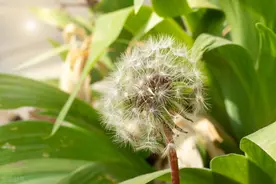 深爱过的人，每一次想起都是温暖，那一份喜欢一直都在心间图片