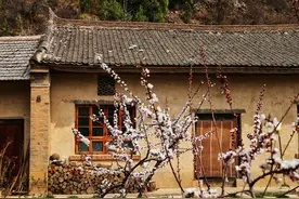 父母不在：我有一个回不去的老家，甚是想念却又无可奈何图片